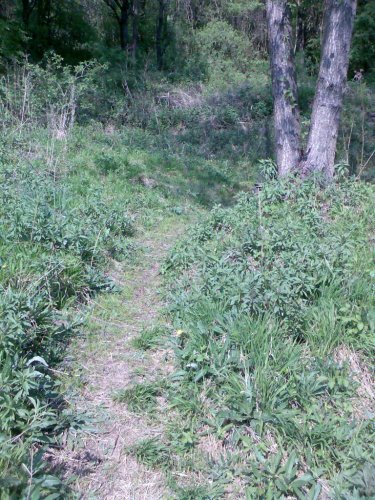 Úklid studánky na "popovsku" - 30.4.2007